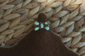 Palomino Variscite Butterfly Ring